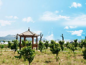 绿色大地生态园