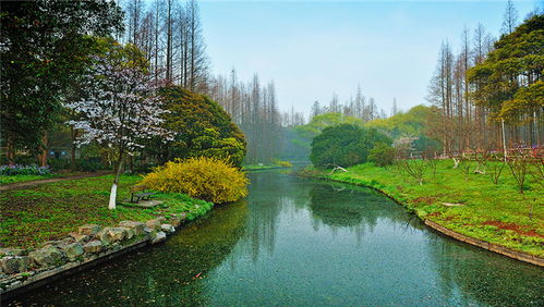 共青国家森林公园