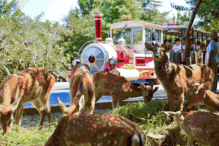 济南野生动物世界