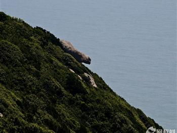 朱家尖大青山国家公园南门