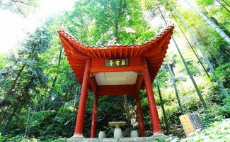 五尖山森林公园